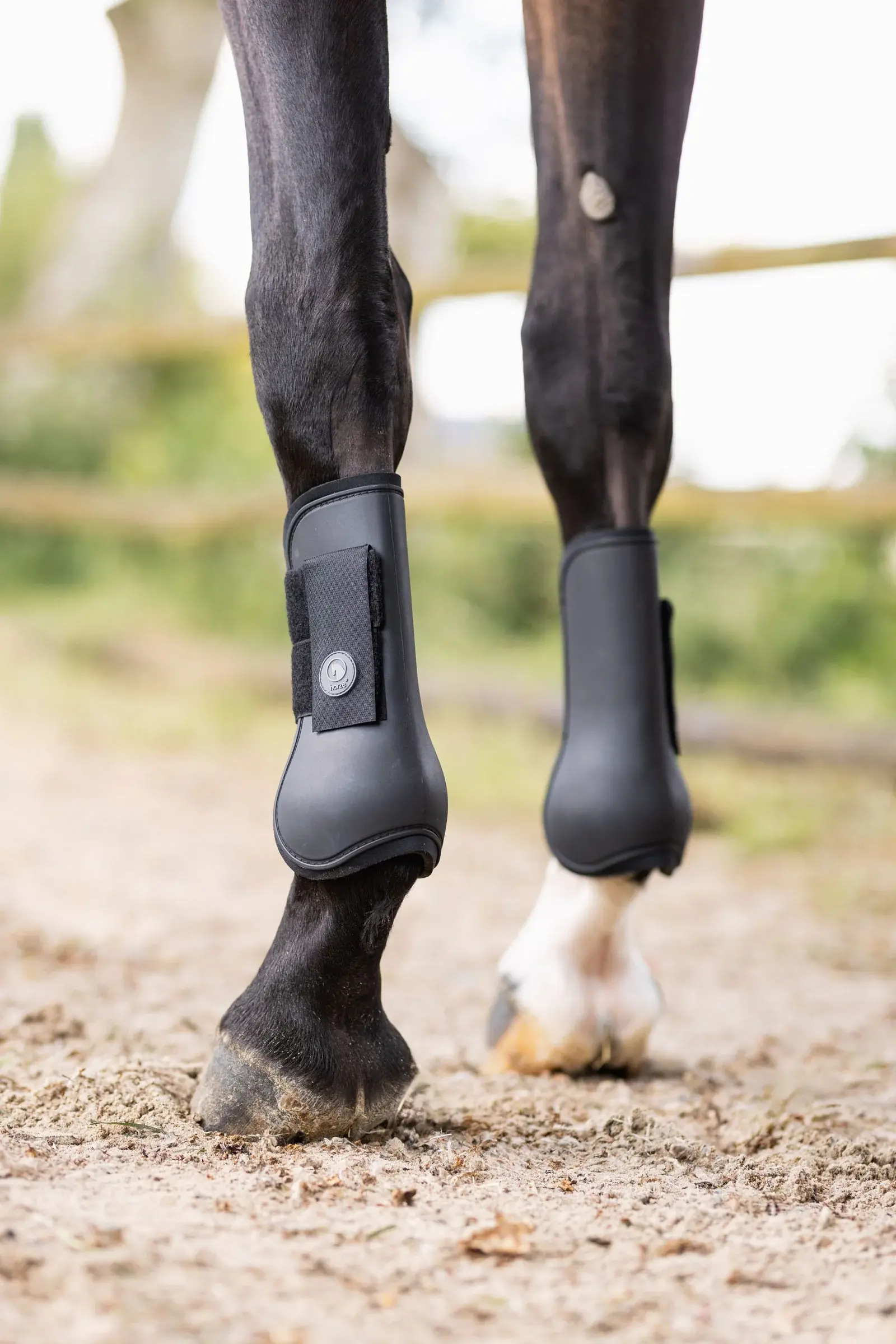Ochraniacze Horze Tendon, przednie czarne