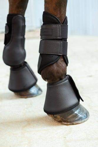 Kaloszki Avina, czarny, Covalliero