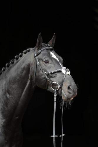 Ogłowie dla konia Cancun, czarny, Covalliero