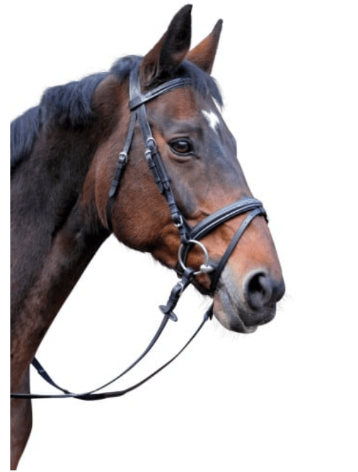 Ogłowie Classic, czarny, Covalliero